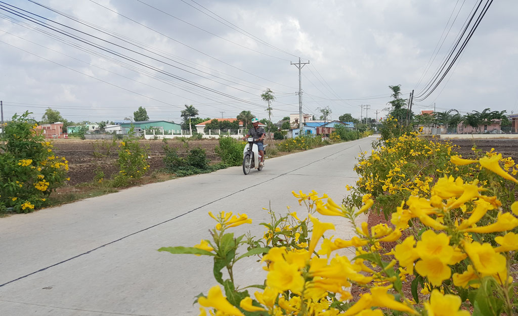 Xã Long An về đích nông thôn mới