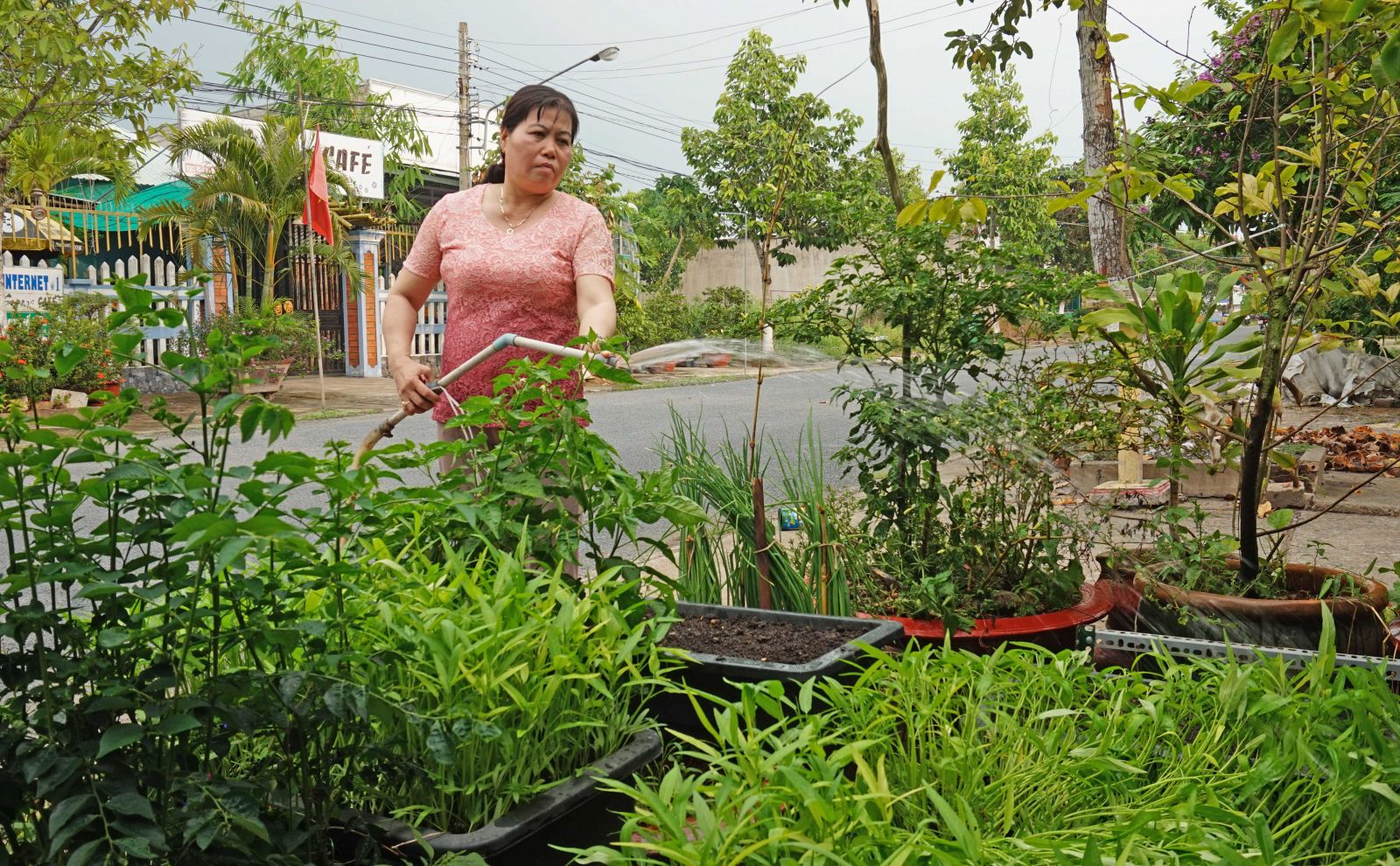 Cùng với việc thu gom, xử lý rác thải đúng quy định, hội viên, phụ nữ thị trấn Tân Thạnh còn trồng rau, cây xanh để tạo cảnh quan môi trường xanh, sạch, đẹp