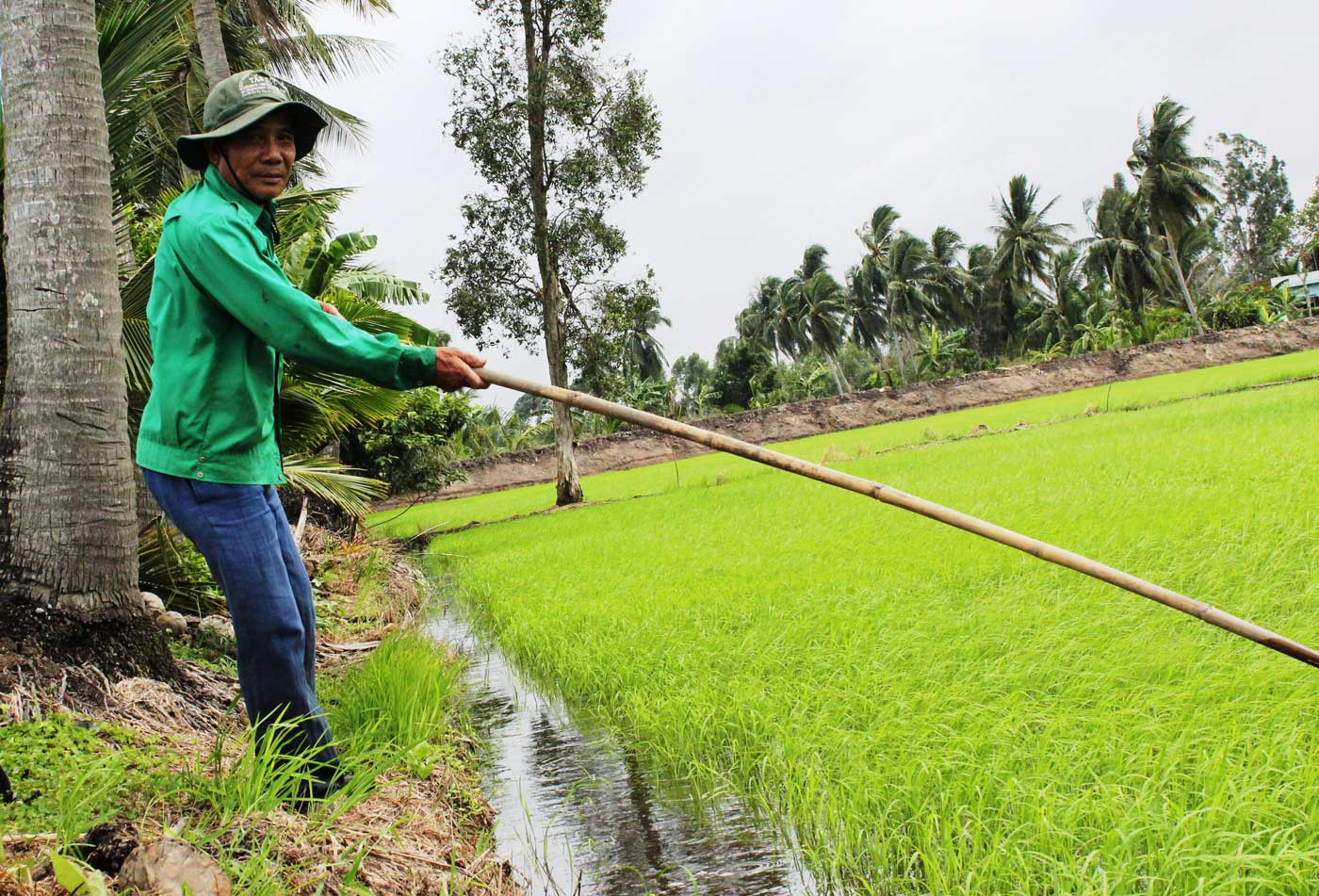 Với ông Nguyễn Văn Hải, còn khỏe là còn thi đua lao động, sản xuất