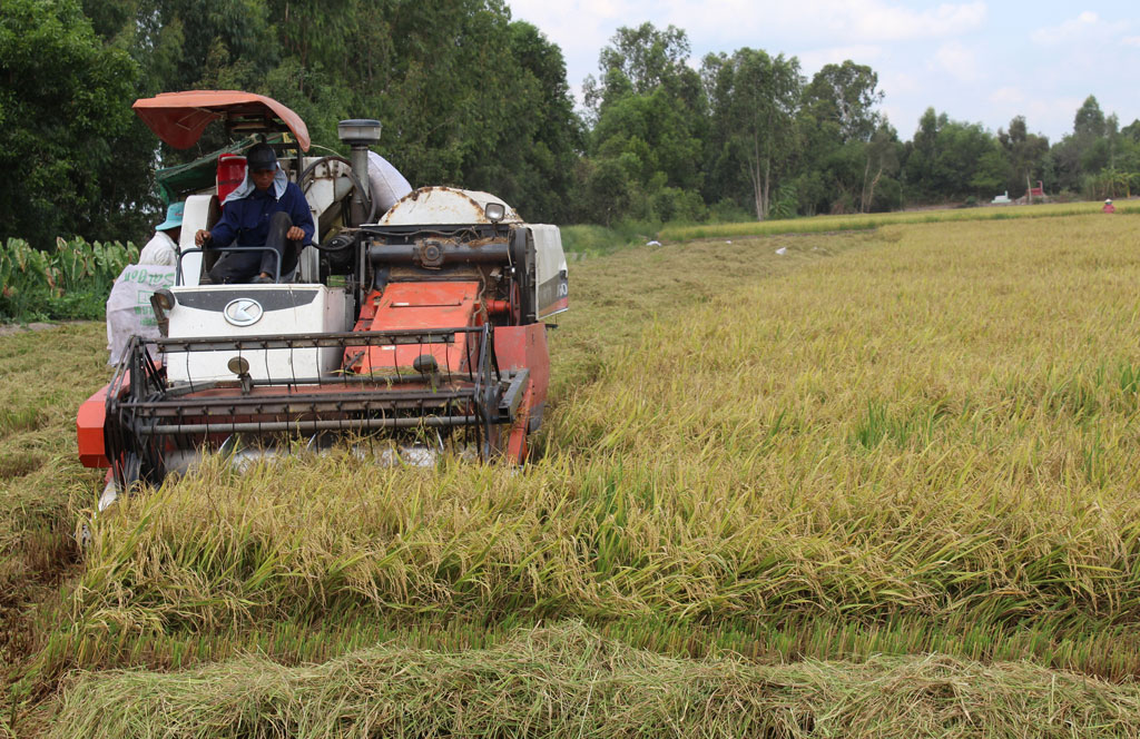 Huyện triển khai đồng bộ cơ giới hóa trong sản xuất