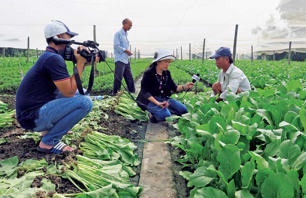 Phóng viên Đài Phát thanh và Truyền hình Long An tác nghiệp tại vùng trồng rau ở Cần Đước