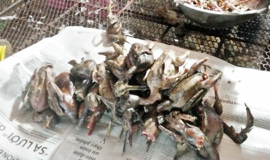 Chấn chỉnh tình trạng chim trời bị vặt lông, treo bán gây phản cảm Chủ tịch UBND huyện yêu cầu các hộ buôn bán tuyệt đối không được nhổ lông, thui, treo ngược các loài chim để bày bán gây phản cảm