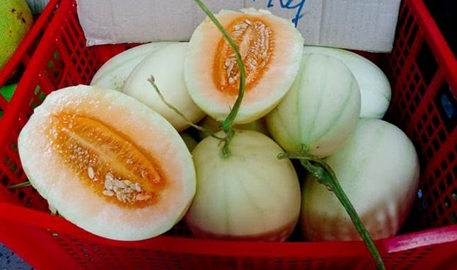 7.200 tấn dưa Trung Quốc tràn chợ: Coi chừng 3 loại dưa Tàu đội lốt hàng Việt Dưa lê Trung Quốc nhập về Việt Nam ồ ạt vì đang chính vụ