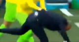 Huấn luyện viên đội tuyển Brazil chấn thương vì... ăn mừng chiến thắng