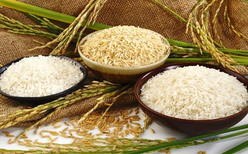 Giá trị xuất khẩu gạo tăng mạnh, Trung Quốc vẫn là thị trường chính