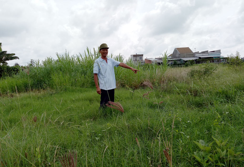 Phần đất 1.000m2 được gia đình ông hiến cho UBND phường 7