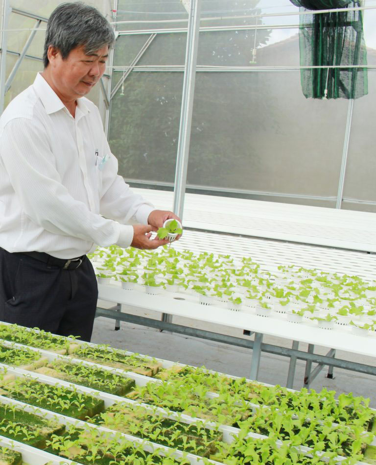 Hỗ trợ hợp tác xã phát triển nông nghiệp công nghệ cao Nhờ các chính sách hỗ trợ của tỉnh, nhiều hợp tác xã hoạt động hiệu quả (Trong ảnh: Vườn ươm tại Hợp tác xã Phước Hòa, huyện Cần Đước)