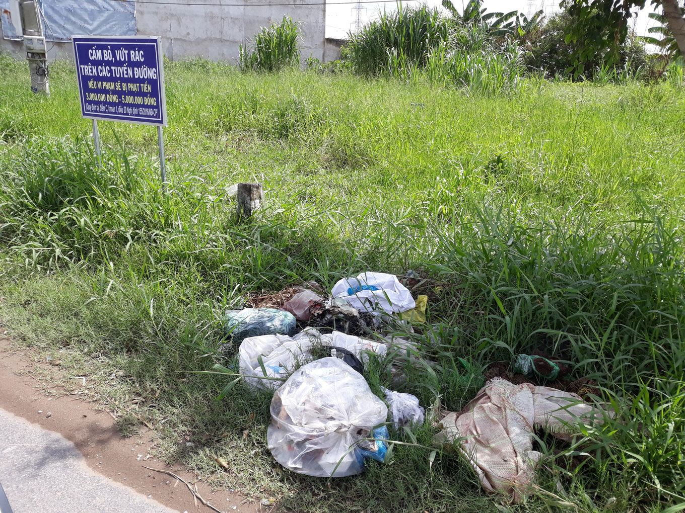 Rác thải sinh hoạt vứt bừa bãi trên đường (ảnh chụp sáng 27/6/2018)