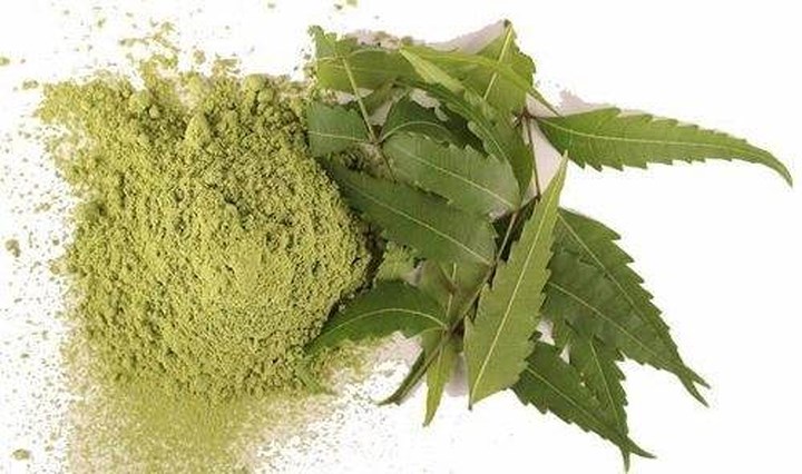 Lá neem: Lá neem là một phương pháp rất hiệu quả để loại bỏ tất cả các loại giun đường ruột. Lá có chứa các đặc tính chống ký sinh trùng không chỉ giết ký sinh trùng mà còn loại bỏ độc tố khỏi cơ thể. Uống một ly sữa ấm pha với một muỗng cà phê bột lá neem khô hàng ngày.
