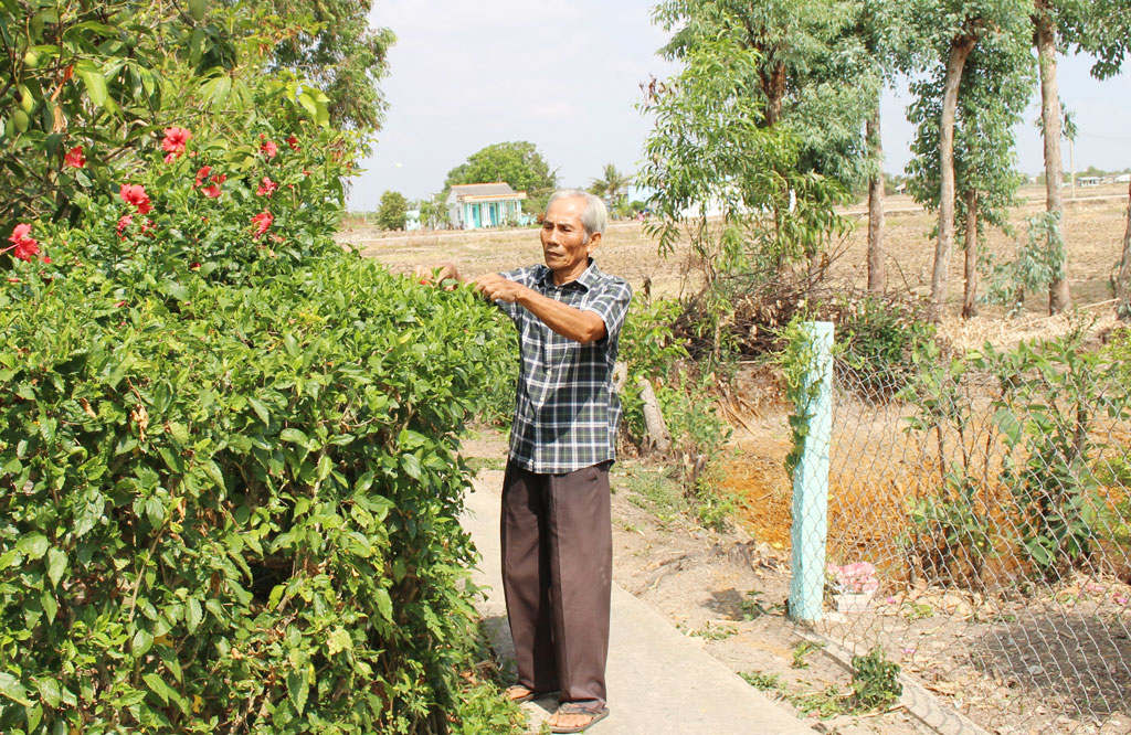 Người cao tuổi tham gia trồng cây xanh, bảo vệ môi trường