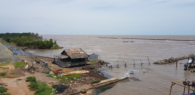 Nhiều đoạn đê và rừng ven biển Tây thuộc xã Khánh Bình Tây (huyện Trần Văn Thời, Cà Mau) đã bị sóng biển đe dọa, nhiều nhà dân phải di dời - Ảnh: Chí Quốc