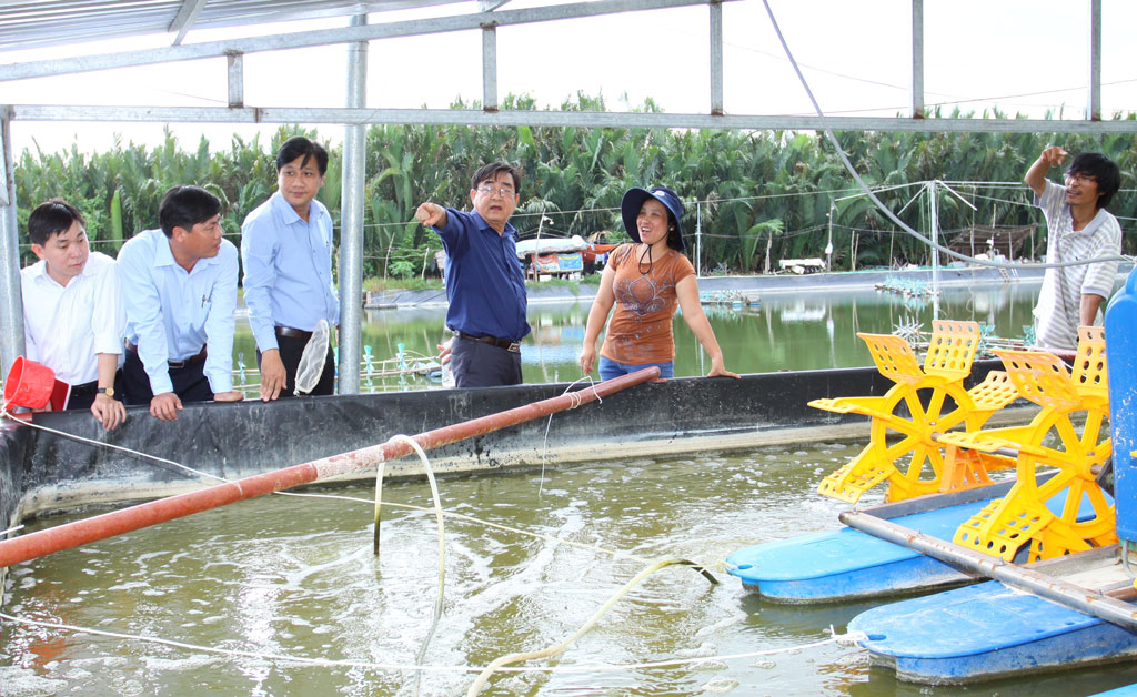 Phó Bí thư Thường trực Tỉnh ủy-Đỗ Hữu Lâm (thứ 2 từ phải qua) và lãnh đạo huyện Cần Đước tham quan mô hình nuôi tôm công nghệ cao tại xã Tân Ân