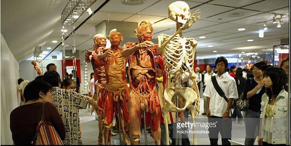 Trên thế giới, nhiều triển lãm nội tạng, cơ thể người cũng bị chỉ trích dữ dội. (Ảnh minh họa: Getty Images)