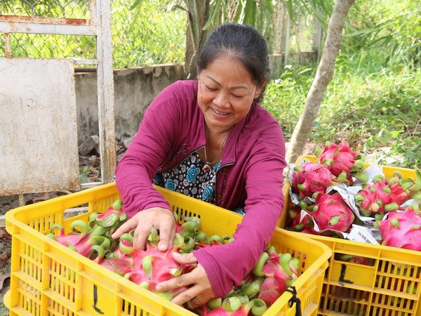 Tiềm năng xuất khẩu nông sản sang UAE và cách thức tiếp cận thị trường