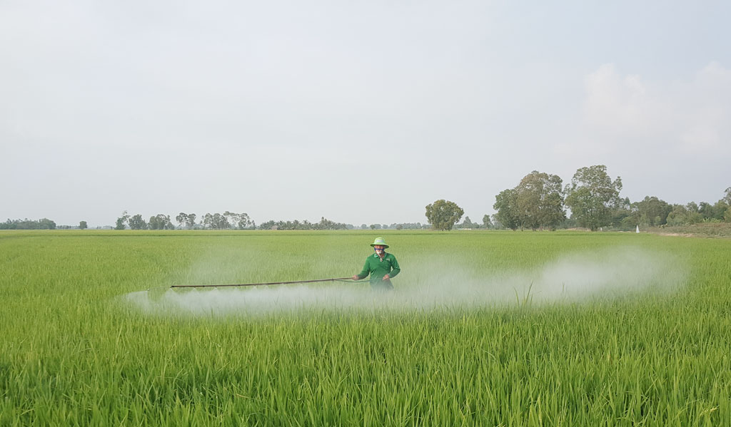 Tuyên Bình nỗ lực về đích nông thôn mới Nông dân mong muốn nông sản có đầu ra ổn định hơn