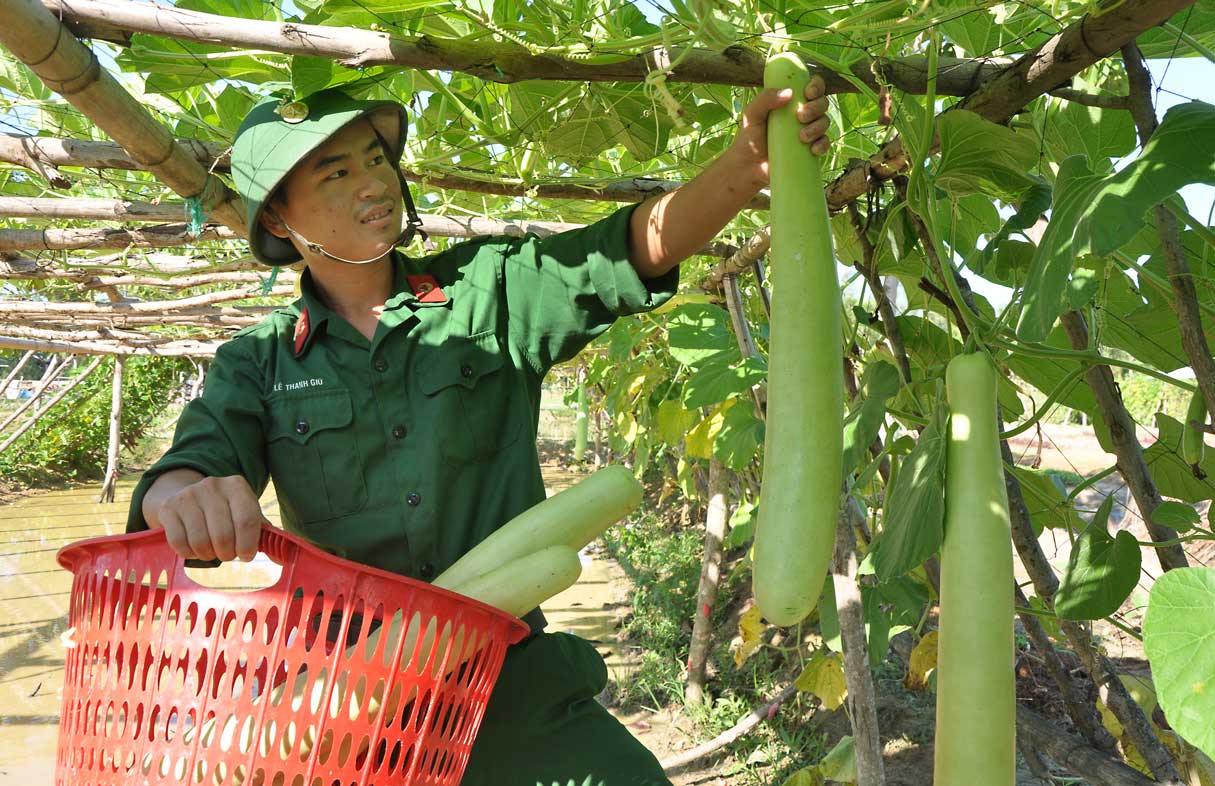 Sản phẩm tăng gia của đơn vị tiểu đoàn 