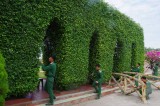 Ngôi nhà chung của bộ đội