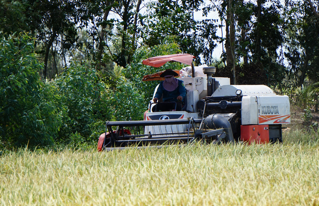 Cử tri huyện Thạnh Hóa, Thủ Thừa mong muốn tỉnh xem xét hỗ trợ một phần kinh phí cho cá nhân, tổ chức sản xuất nông nghiệp theo hướng công nghệ cao ngoài vùng quy hoạch