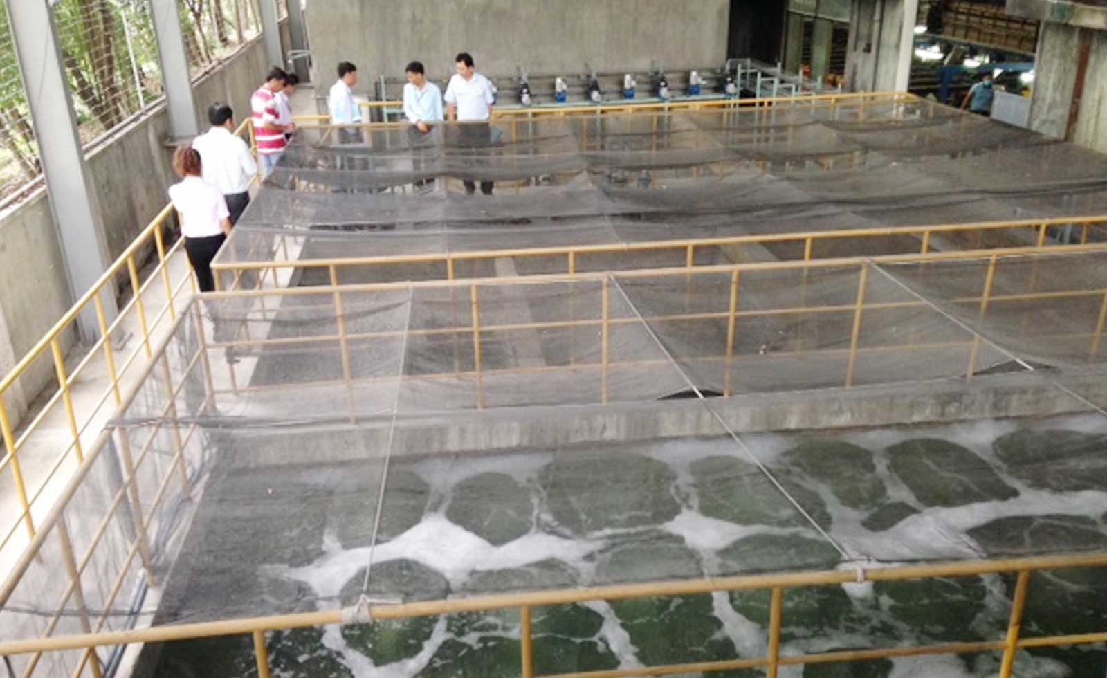 Hệ thống xử lý nước thải của Mien Hua