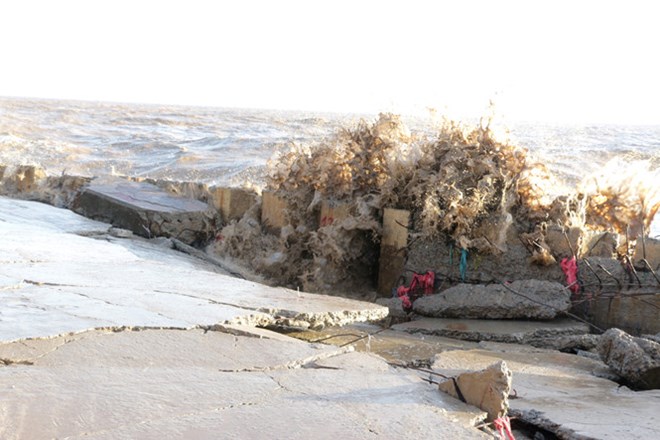Bac Lieu needs investment to protect erosion-affected areas
