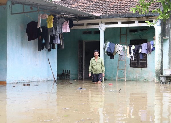 Hàng trăm ngôi nhà bị ngập chìm trong nước tại huyện Tam Nông. (Ảnh Tạ Toàn/TTXVN)