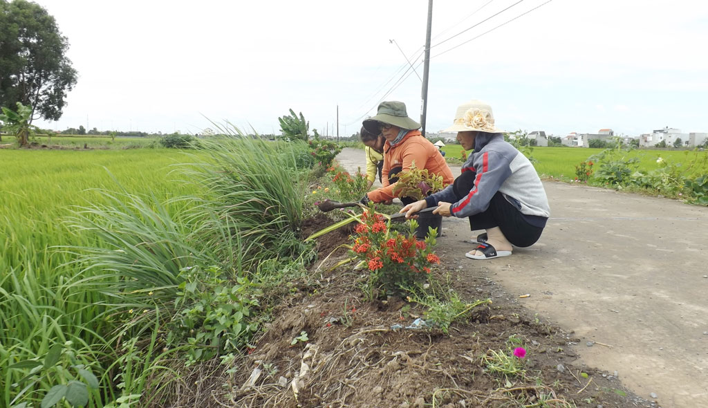 Phụ nữ Bến Lức: Chung tay xây dựng nông thôn mới Đường hoa sinh thái - mô hình điểm trong xây dựng nông thôn mới của Hội Liên hiệp Phụ nữ xã An Thạnh