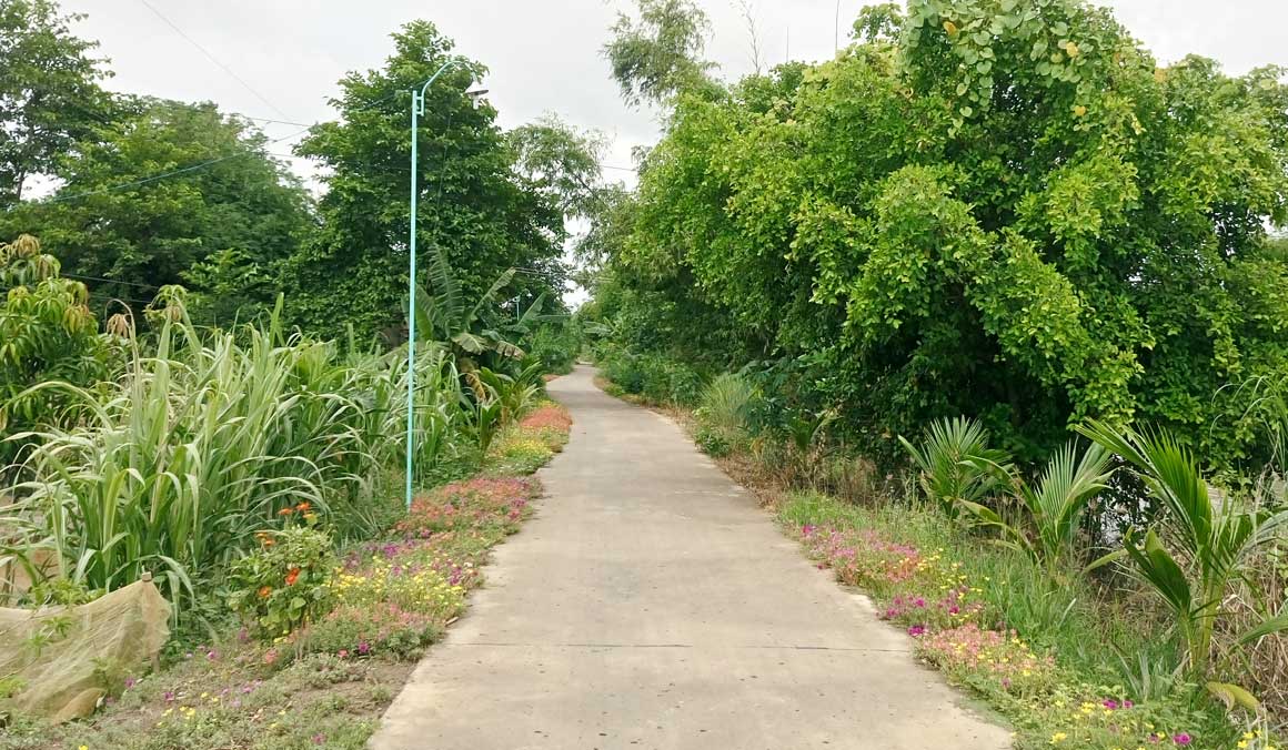 Mô hình Đường quê “sáng, xanh, sạch đẹp, an toàn giao thông” tại Vĩnh Đại