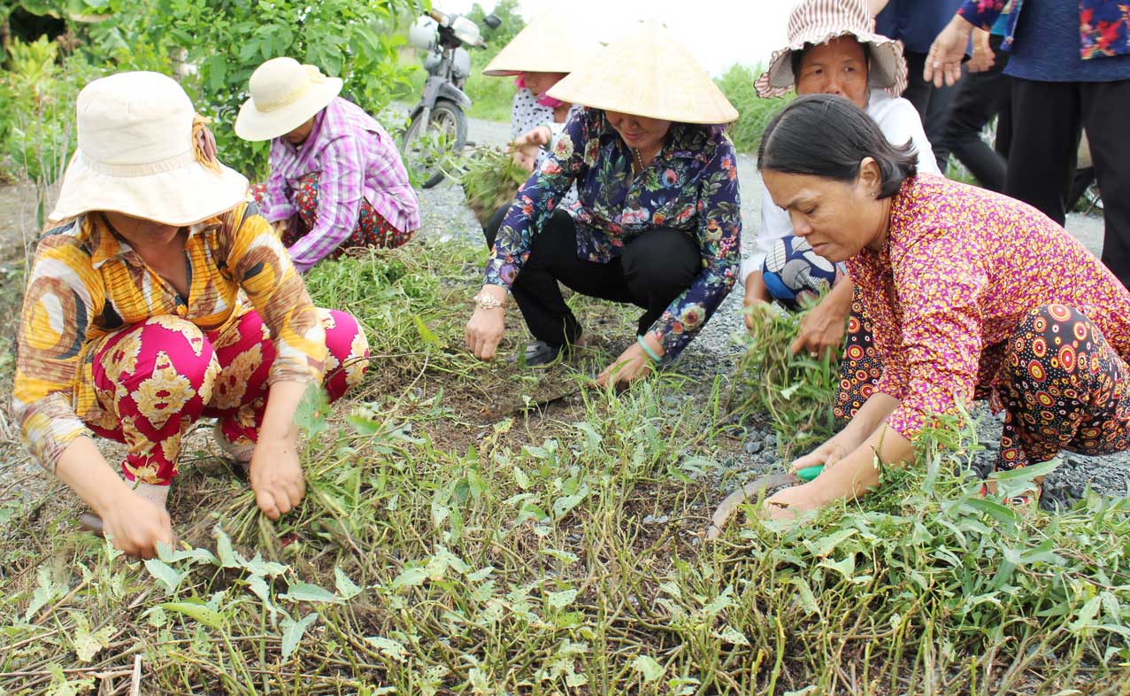 Hội viên phụ nữ tham gia bảo vệ môi trường