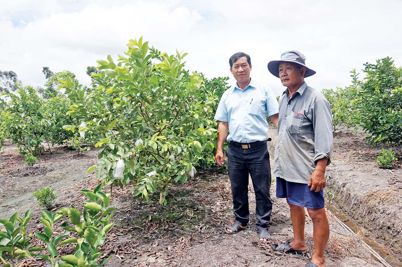 Đời sống người dân được nâng lên là điểm nhấn trong chương trình xây dựng nông thôn mới  của xã Bình Hòa Nam (Trong ảnh: Ông Tư Thượng (bìa phải) trò chuyện với Chủ tịch Hội Nông dân xã Bình Hòa Nam - Đào Văn Hên)