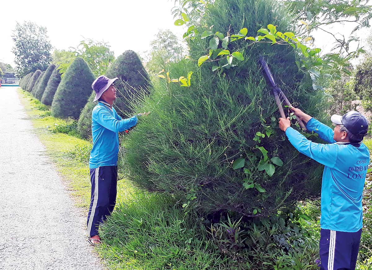 Các học viên  lao động trị liệu