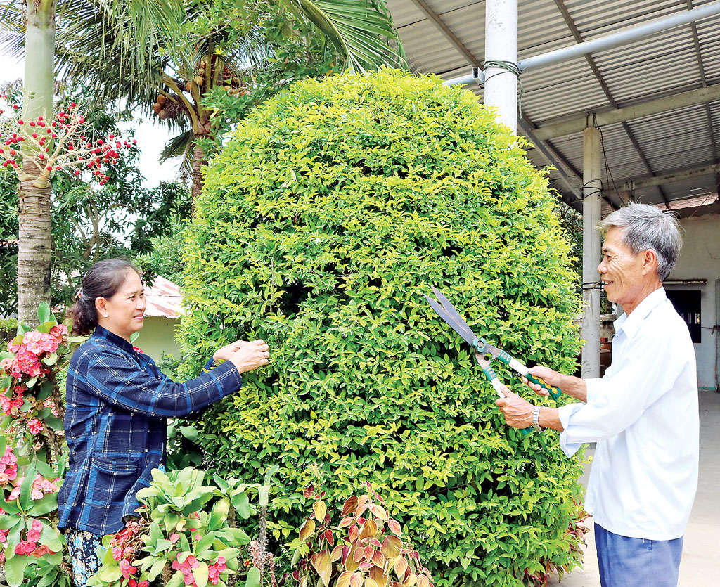 Vợ chồng ông  Lê Phước Hưng, bà Trần Thị Chính chăm sóc cây kiểng xung quanh nhà