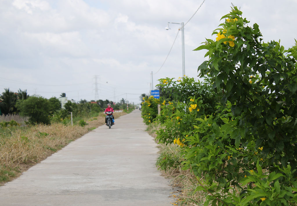 Cây xanh, đèn đường tại huyện Châu Thành được người dân đóng góp thực hiện
