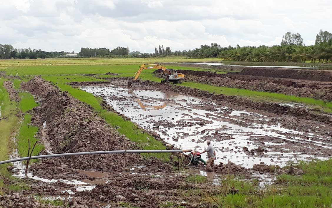 Chỉ trong thời gian ngắn, có hơn 1.000ha đất lúa trên địa bàn huyện Tân Hưng chuyển sang nuôi thủy sản