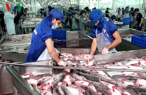 Kinh tế khu vực Đồng bằng sông Cửu Long có nhiều khởi sắc