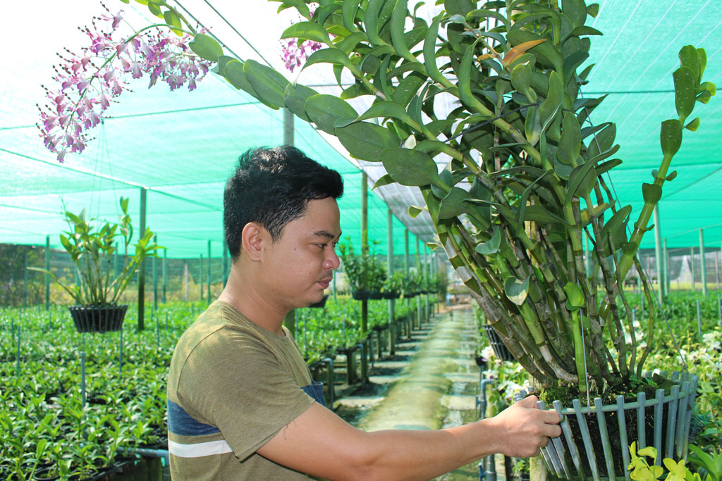 Để khởi nghiệp hiệu quả, thanh niên phải có niềm đam mê, kiên trì, sáng tạo và không ngại khó