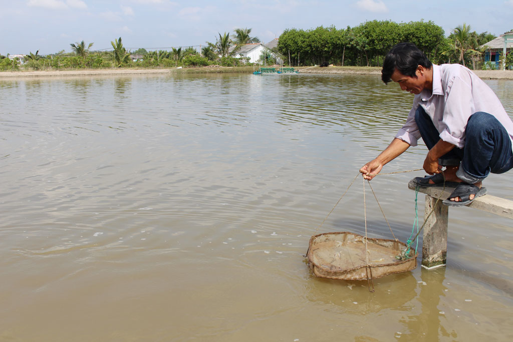 Trên bước đường khởi nghiệp, thanh niên nông thôn còn gặp nhiều khó khăn trong việc tìm đầu ra cho sản phẩm