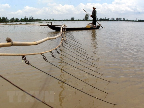 Mekong Delta region warned about serious flooding