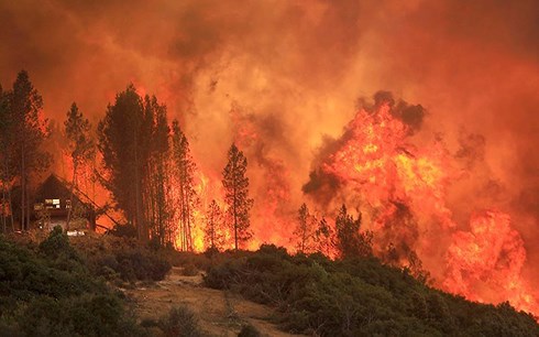 Ngọn lửa đỏ rực bao trùm cánh rừng ở California. (Ảnh: AP)