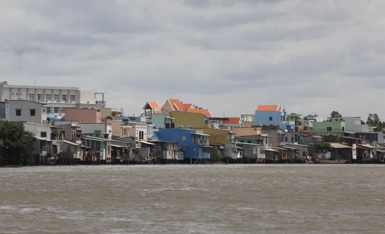 Khu vực ven thị trấn Cần Giuộc, huyện Cần Giuộc chịu ảnh hưởng nghiêm trọng do sạt lở ven sông Cần Giuộc