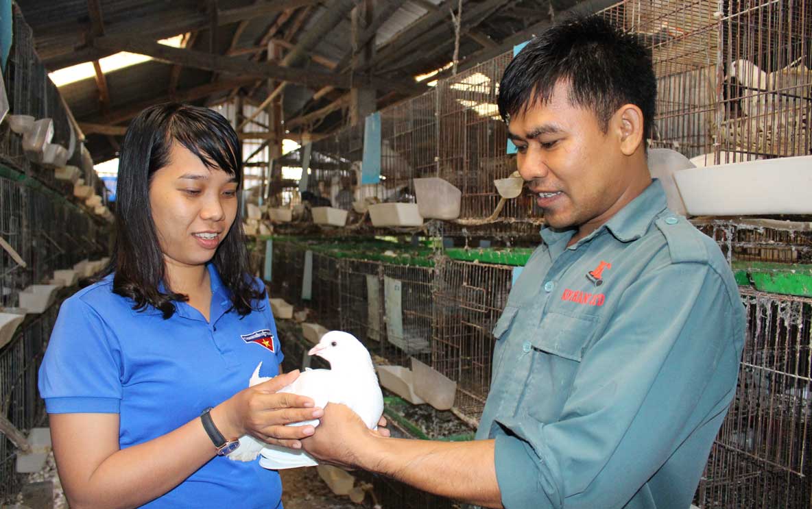 Mô hình khởi nghiệp của anh Lê Hoài Hận được đoàn viên, thanh niên trong và ngoài xã đến tham quan, học tập kinh nghiệm