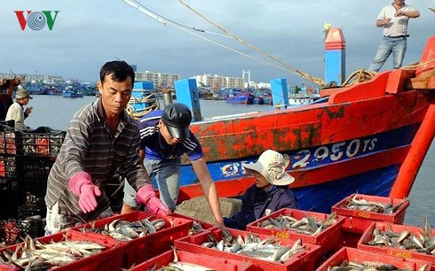 Truy xuất nguồn gốc sản phẩm: Tính trung thực chưa được đảm bảo