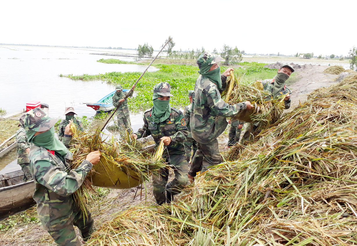 Bộ đội biên phòng đóng trên địa bàn huyện Vĩnh Hưng giúp dân khắc phục thiên tai