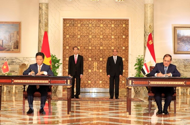 Chủ tịch nước Trần Đại Quang và Tổng thống Ai Cập Abdel Fattah Al Sisi chứng kiến lễ ký các văn kiện hợp tác giữa hai nước. (Nguồn: Nhan Sáng/TTXVN)