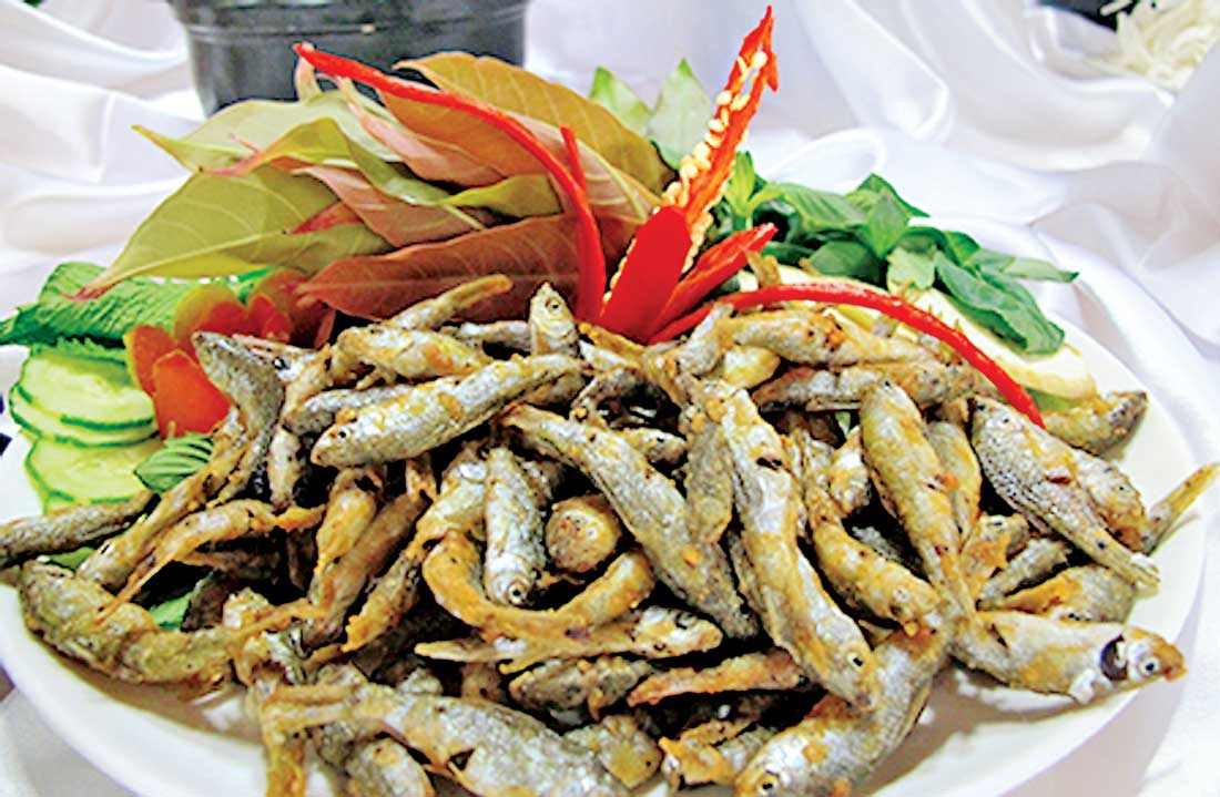 Nước về rồi thưởng thức cá linh thôi! Cá linh chiên bột
