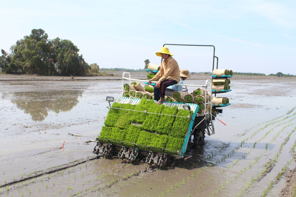 Ứng dụng công nghệ cao vào sản xuất lúa tại thị xã Kiến Tường