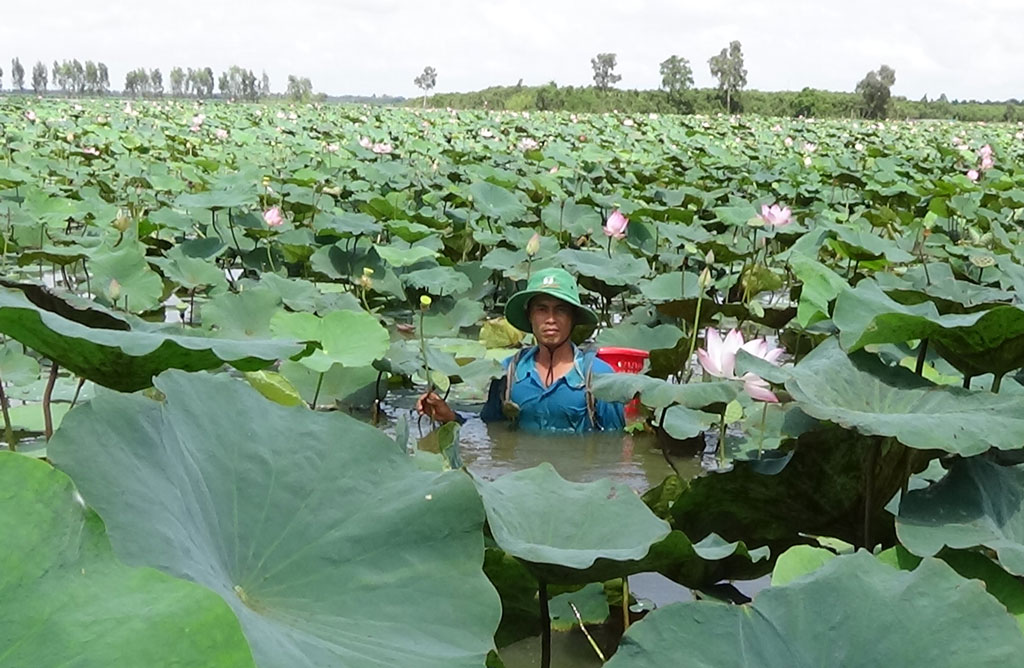 Nâng cao đời sống người dân