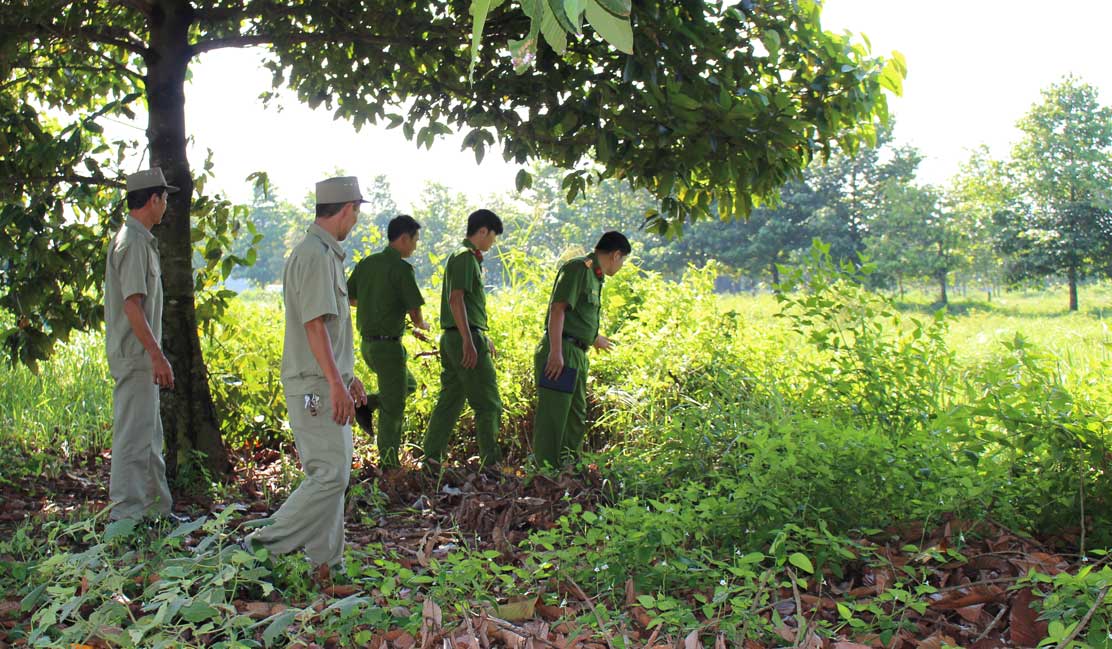 Lực lượng dân phòng xung kích phòng, chống tội phạm huyện Bến Lức cùng lực lượng Công an huyện tại hiện trường một vụ vướp