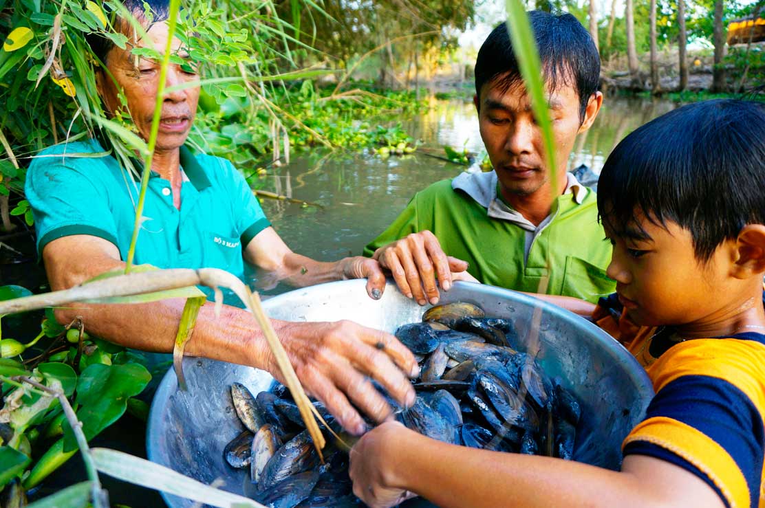 Sau một hồi lặn, ngụp, ông Mười, thằng con trai và đứa cháu thu được thau chiến lợi phẩm