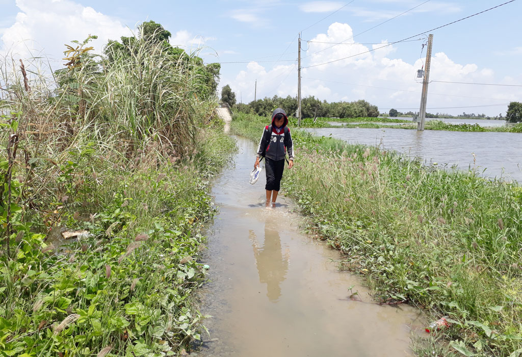 Một số tuyến đường giao thông nông thôn vùng trũng thấp, nước ngập ảnh hưởng việc đi lại của học sinh
