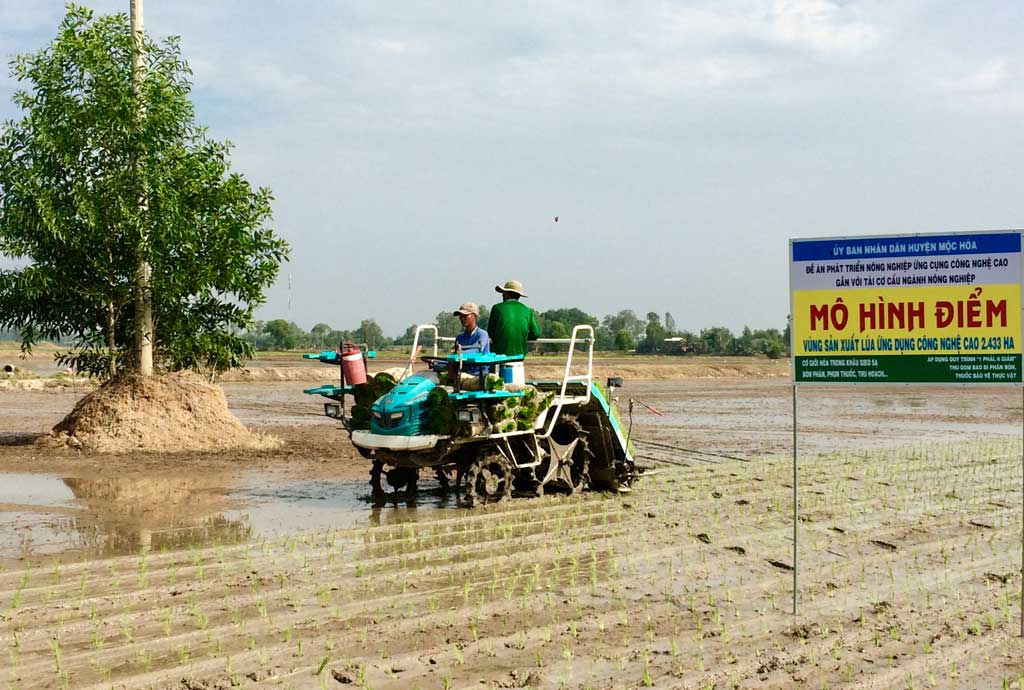 Mô hình điểm vùng sản xuất lúa ứng dụng công nghệ cao